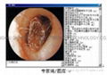 Endoscope digital image workstation 3