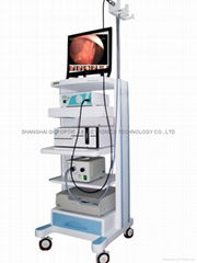 Endoscope digital image workstation