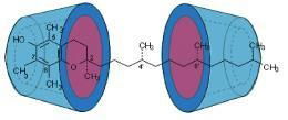 Cyclodextrin 3