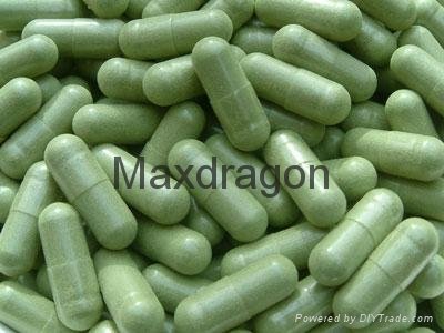 Maxdragon Barley Grass Powder