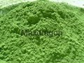 Maxdragon Barley Grass Powder