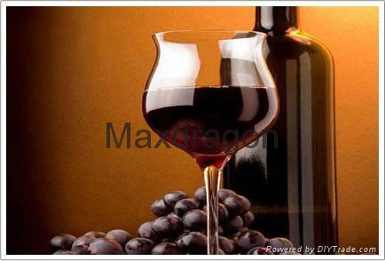 Red Wine Extract Powder 2