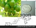 Corsvenor Momordica Fruit Extract 1