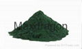 Spirulina Powder 1