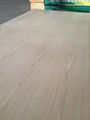 commercial plywood 5