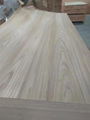 TEAK PLYWOOD 1