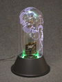 PLASMA BOTTLE LIGHT