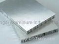 Aluminum Honeycomb Panel