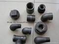 malleable iron fittings