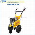 Gasoline tiller GTW75R 3