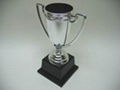 plastic trophy  cups