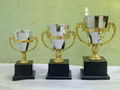 TROPHY CUP 3