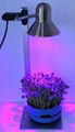 7w led grow lights 5