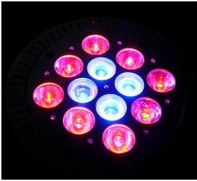 12w led grow light