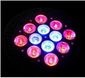 12w led grow light