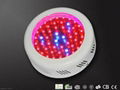 50w led grow lights 4