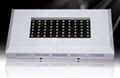 60w led grow lights 3