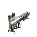 CWM-300 Weight Sorting Machine Auto Weight Grading Machine Conveyor Belt Systems