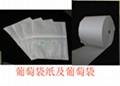 水果套袋,水果保護紙