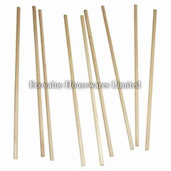 Skewer Birch Wood Eco-friendly Biodegradable