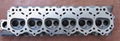 cylinder head (F8Q,TB42,D4CB-VGT,F1AE,F30TD,ZD25,DURATORQ,TD5,ect.) 1