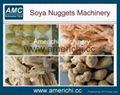 Texture soya protein food machines