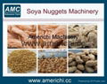 Soya Nuggets Machine