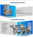 Corn flakes extruder