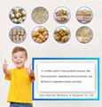 Textured Soy Protein Food Machine 5