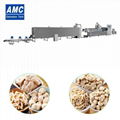 Soya Meat Machinery