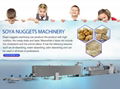 Soya Nuggets Machinery