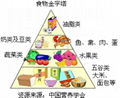 PGE是解決地球上人口 、居住和糧食緊張的唯一途徑