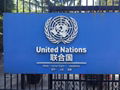 The United Nations must have its own independent MSE energy agency