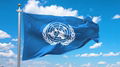 The United Nations must have its own independent MSE energy agency