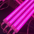 MSE has made LED artificial planting the direction