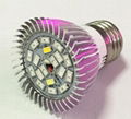 MSE has made LED artificial planting the direction