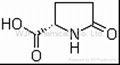 L-pyroglutamic acid 1