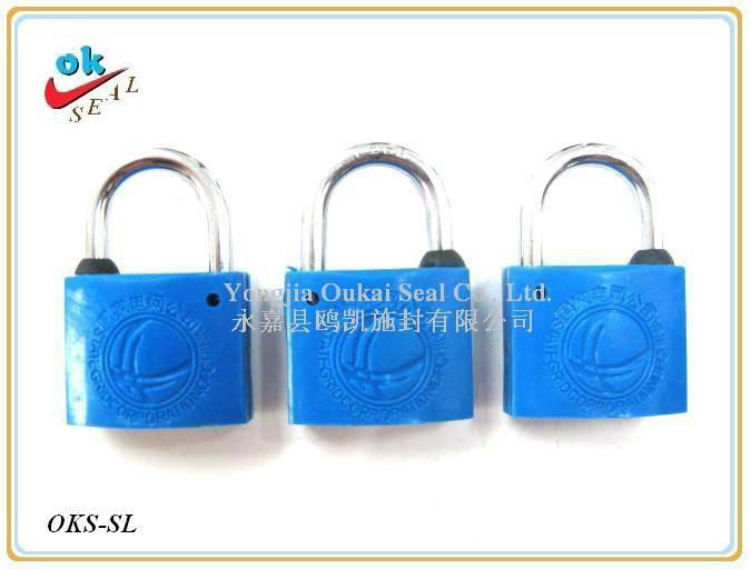 Security Lock for Electricity Meter Box 3