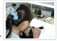 Xuchang Bangjie Hair Products Co
