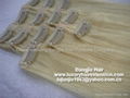 Clip-in skin weft hair extension 1