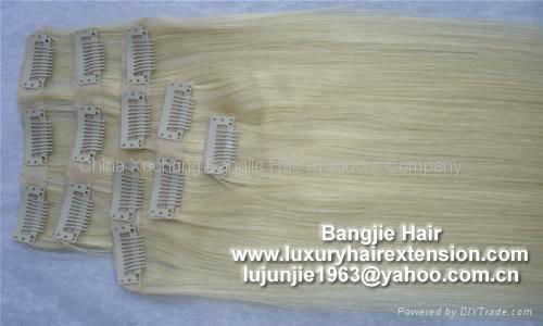 Clip-in skin weft hair extension 2