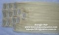 Clip-in skin weft hair extension 2