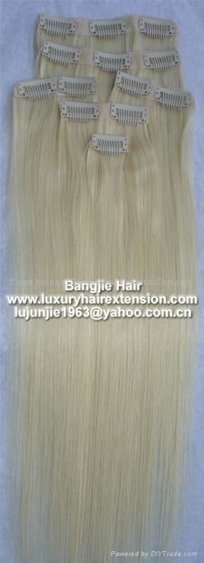 Clip-in skin weft hair extension 4