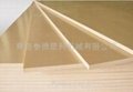 PVC木塑建筑模板设备