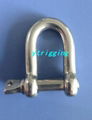 stainless steel  shackle D type 1