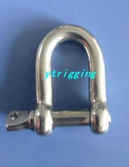 stainless steel  shackle D type