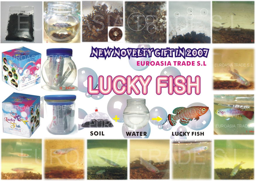 Lucky Fish