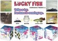 Lucky Fish 1