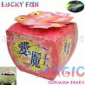 Lucky Fish 1