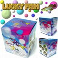 Lucky Fish 1